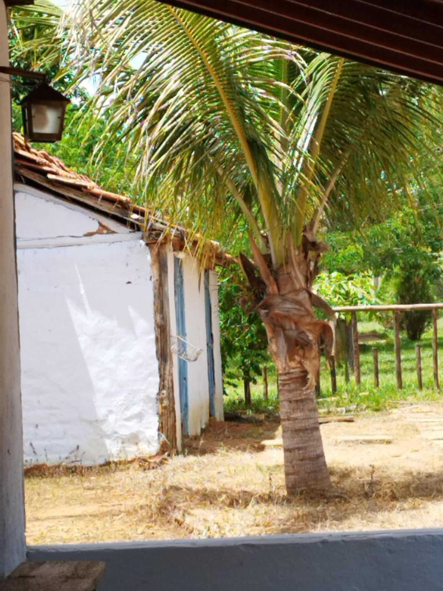 Fazenda Com Piscina E Churrasqueira Br-135 Proximo Curvelo Corinto E Morro Da Garca Kültér fotó